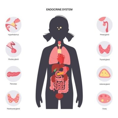 endocrine Tumors