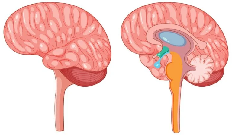 Endocrine Tumors