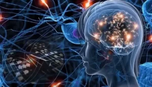 brain-sahakian